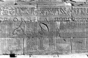 Photo »193« of the Edfu-Project.