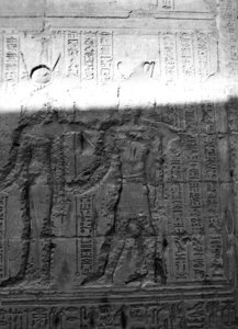 Photo »2201« aus dem Edfu-Projekt.