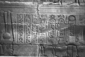 Photo »4117« aus dem Edfu-Projekt.