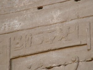 Photo »D05_4015« of the Edfu-Project.