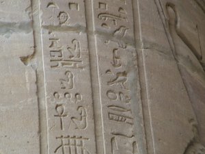 Photo »D05_5801« of the Edfu-Project.