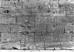 Photo »91« of the Edfu-Project.