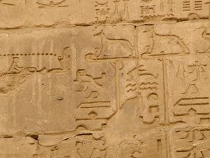 Photo »D05_1838« aus dem Edfu-Projekt.