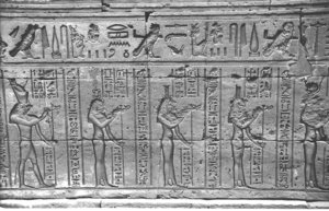 Photo »1083« aus dem Edfu-Projekt.