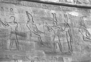 Photo »4341« aus dem Edfu-Projekt.
