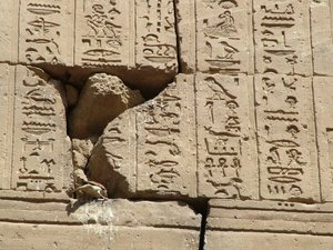 Photo »D05_0903« aus dem Edfu-Projekt.
