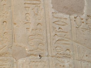 Photo »D05_6925« of the Edfu-Project.