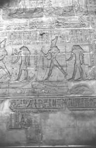 Photo »1152« aus dem Edfu-Projekt.