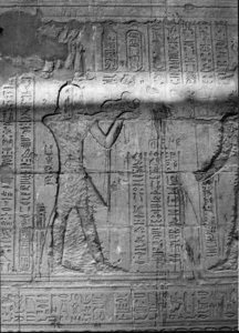 Photo »2212« aus dem Edfu-Projekt.