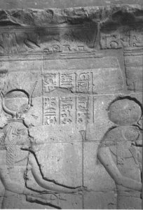 Photo »4362« aus dem Edfu-Projekt.