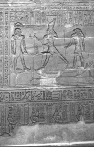Photo »1160« aus dem Edfu-Projekt.