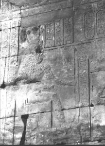 Photo »3565« of the Edfu-Project.