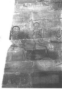 Photo »4038« aus dem Edfu-Projekt.