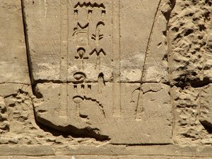 Photo »D05_1380« aus dem Edfu-Projekt.