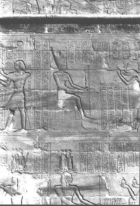Photo »410« aus dem Edfu-Projekt.