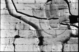 Photo »41« of the Edfu-Project.