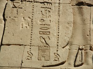 Photo »D03_0559« aus dem Edfu-Projekt.