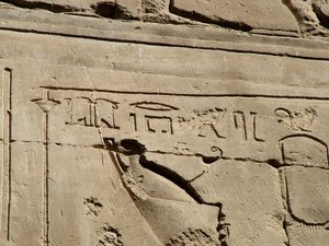 Photo »D05_1716« aus dem Edfu-Projekt.