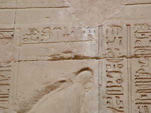 Photo »D05_2608« aus dem Edfu-Projekt.