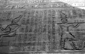 Photo »1203« aus dem Edfu-Projekt.