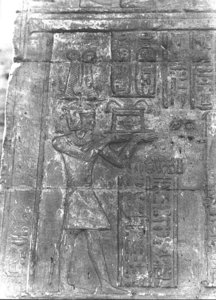 Photo »2721« aus dem Edfu-Projekt.