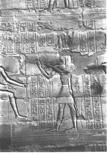 Photo »4007« aus dem Edfu-Projekt.