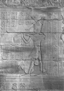 Photo »4320« aus dem Edfu-Projekt.