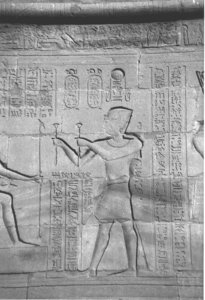 Photo »4347« aus dem Edfu-Projekt.
