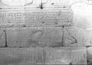 Photo »665« of the Edfu-Project.