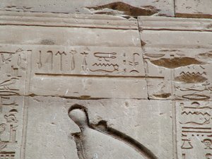 Photo »D05_3520« aus dem Edfu-Projekt.