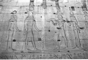 Photo »1485« aus dem Edfu-Projekt.