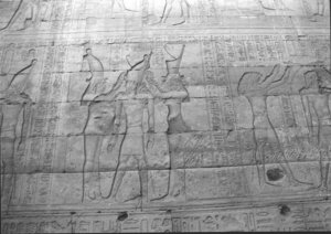Photo »1497« aus dem Edfu-Projekt.