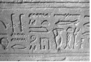 Photo »3792« aus dem Edfu-Projekt.