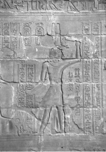 Photo »4308« aus dem Edfu-Projekt.