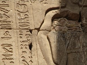 Photo »D05_1154« aus dem Edfu-Projekt.