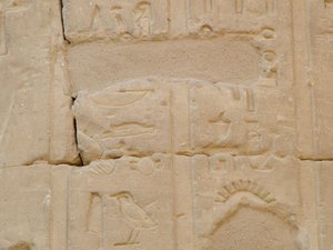 Photo »D05_5067« of the Edfu-Project.