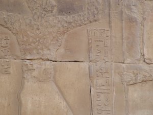 Photo »D05_6761« of the Edfu-Project.