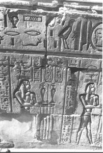 Photo »1169« aus dem Edfu-Projekt.