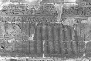 Photo »229« aus dem Edfu-Projekt.