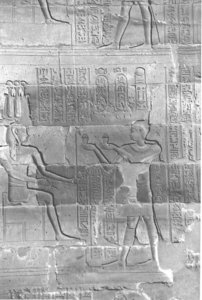 Photo »4198« aus dem Edfu-Projekt.