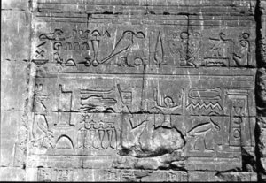 Photo »1« of the Edfu-Project.
