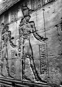 Photo »2957« aus dem Edfu-Projekt.