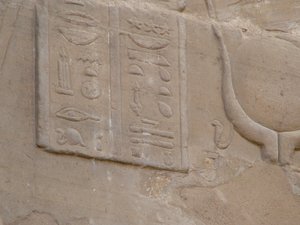 Photo »D05_6673« of the Edfu-Project.