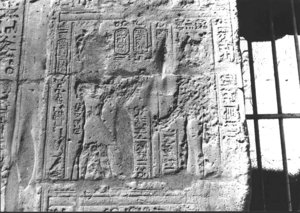 Photo »3297« aus dem Edfu-Projekt.