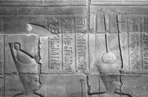 Photo »4086« aus dem Edfu-Projekt.
