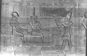 Photo »343« aus dem Edfu-Projekt.