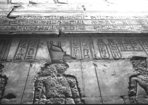 Photo »3621« aus dem Edfu-Projekt.