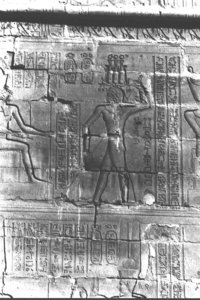 Photo »444« aus dem Edfu-Projekt.