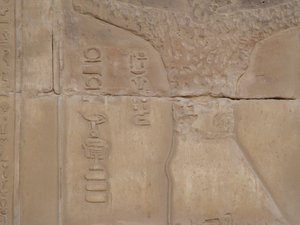 Photo »D05_6760« of the Edfu-Project.