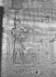 Photo »2216« aus dem Edfu-Projekt.